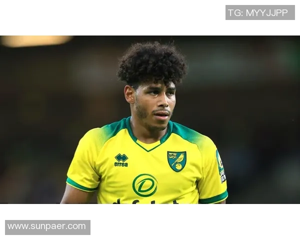 足球马黄的传奇之路与未来发展探讨